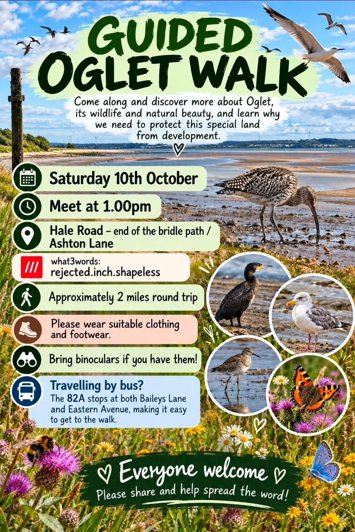 Flyer for Guided Oglet Walk on Saturday 10th October 2026